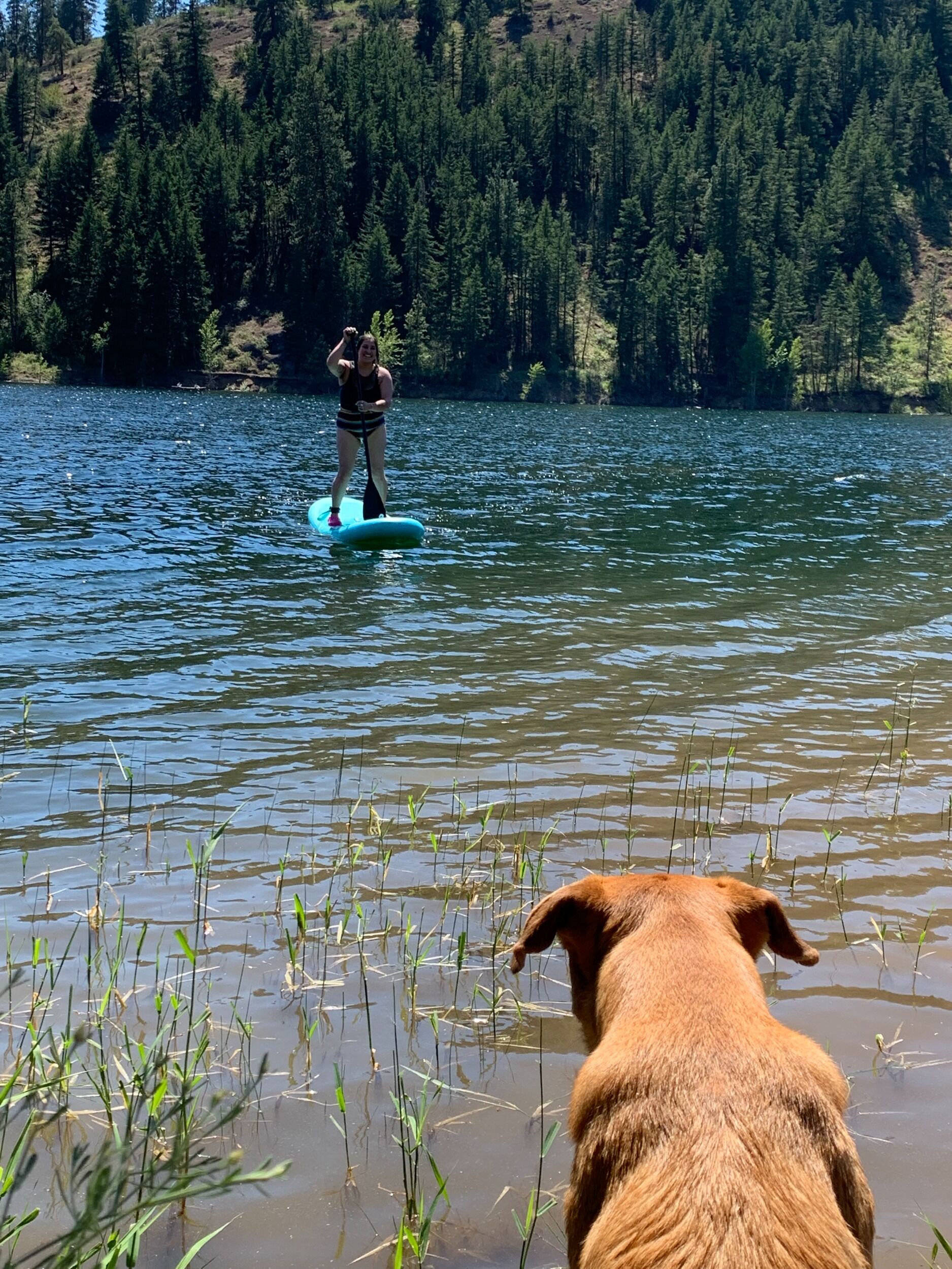 Picture of Pearrygin Lake State Park