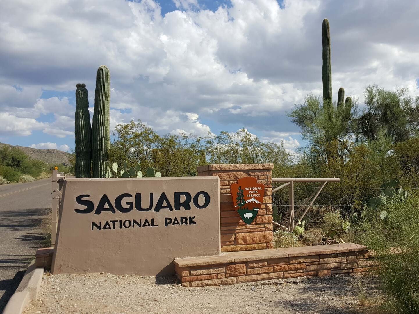 Picture of Saguaro National Park