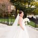 Bride in a Cathedral Veil at Carnegie Institute of Washington