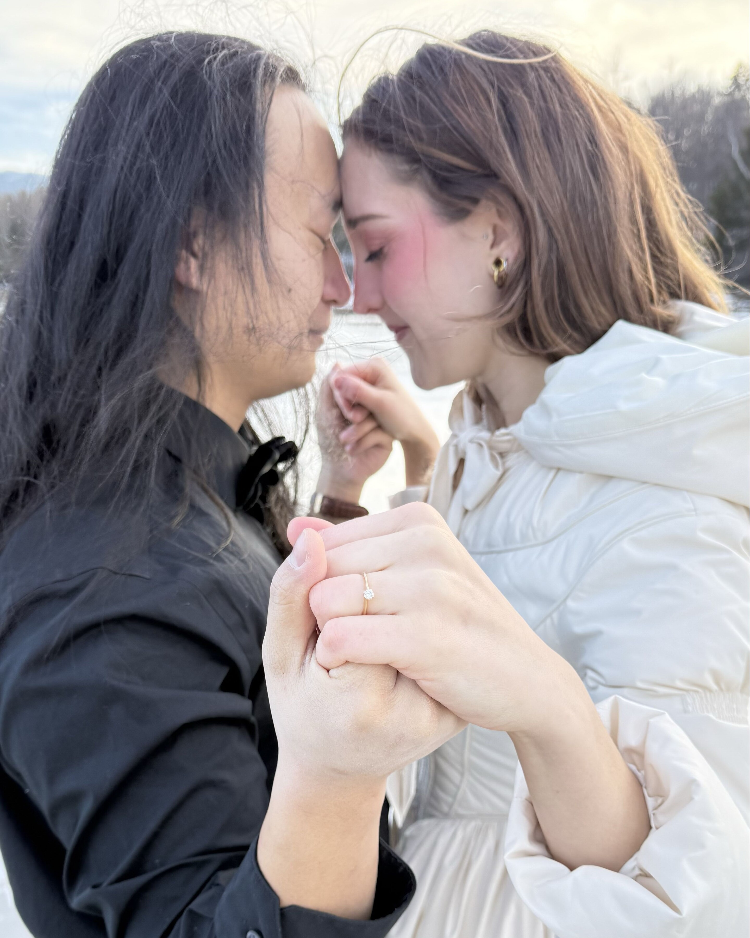 Haley & Chang Home Page Banner
