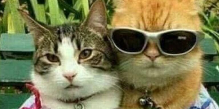 Keragan & Caleb Home Page Banner