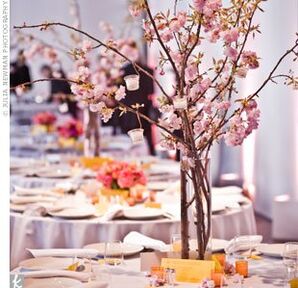 The Centerpieces