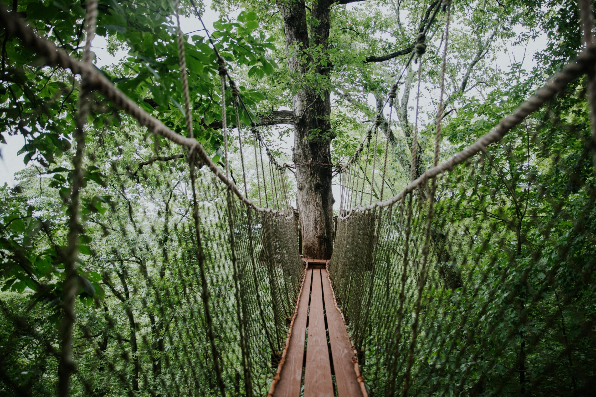 Picture of Red Mountain Park