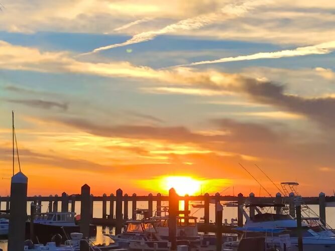 Picture of Marina Marco Island