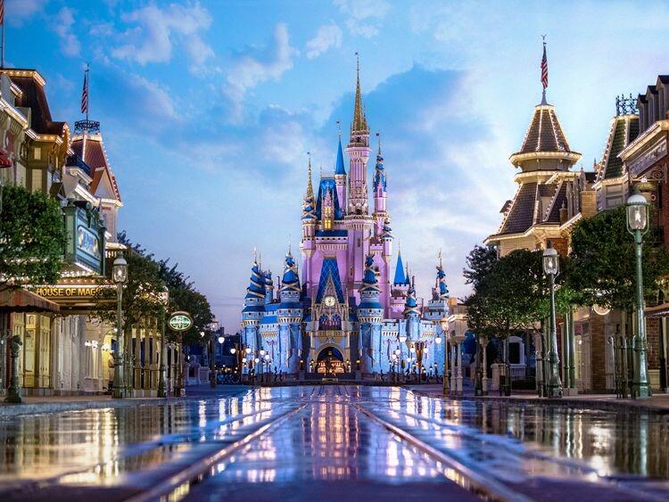 Picture of Walt Disney World