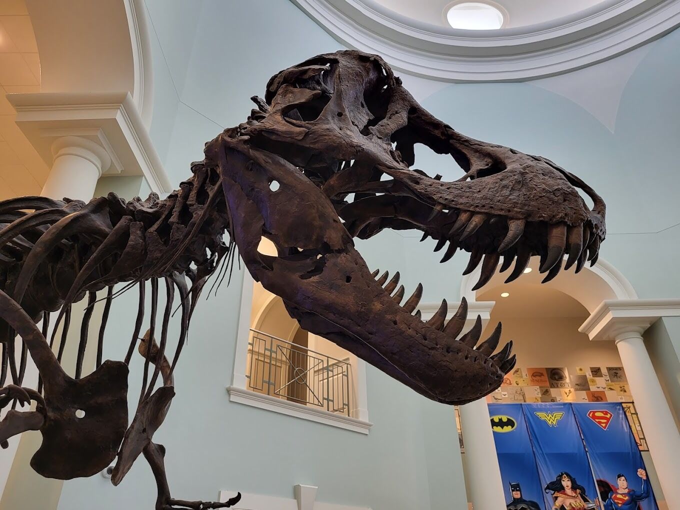 Picture of Mayborn Children's Museum