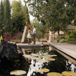 Gallery Photo 19