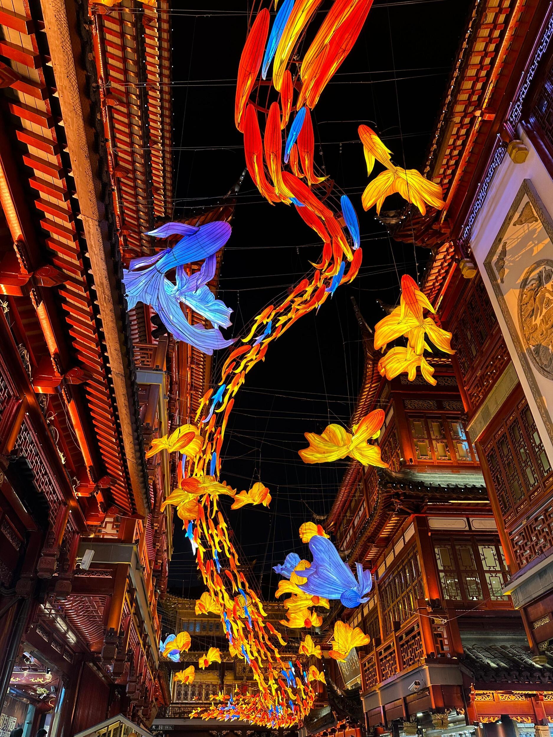 Picture of YU GARDEN & OLD TOWN (豫园)