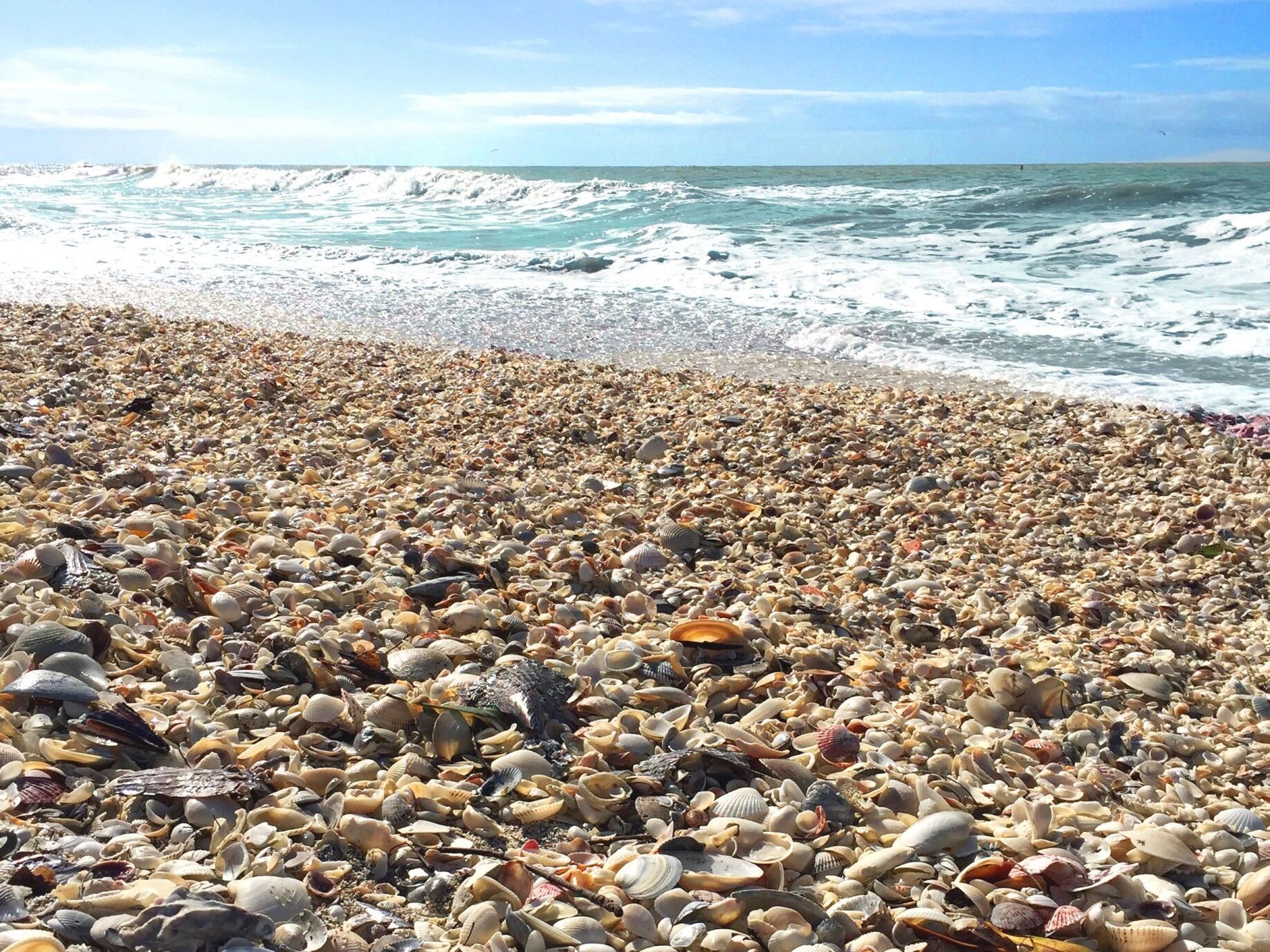 Picture of Bowman's Beach