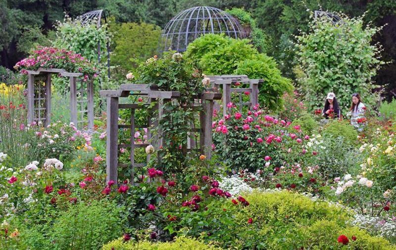 Picture of Descanso Gardens