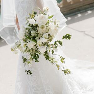 Gallery Photo 37