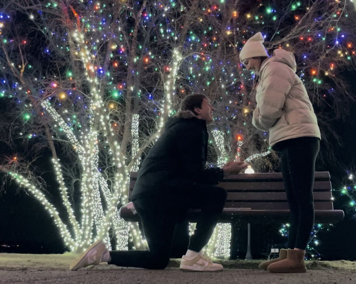 Picture of The Proposal
