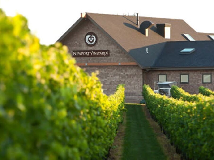 Picture of Newport Vineyards & Restaurant