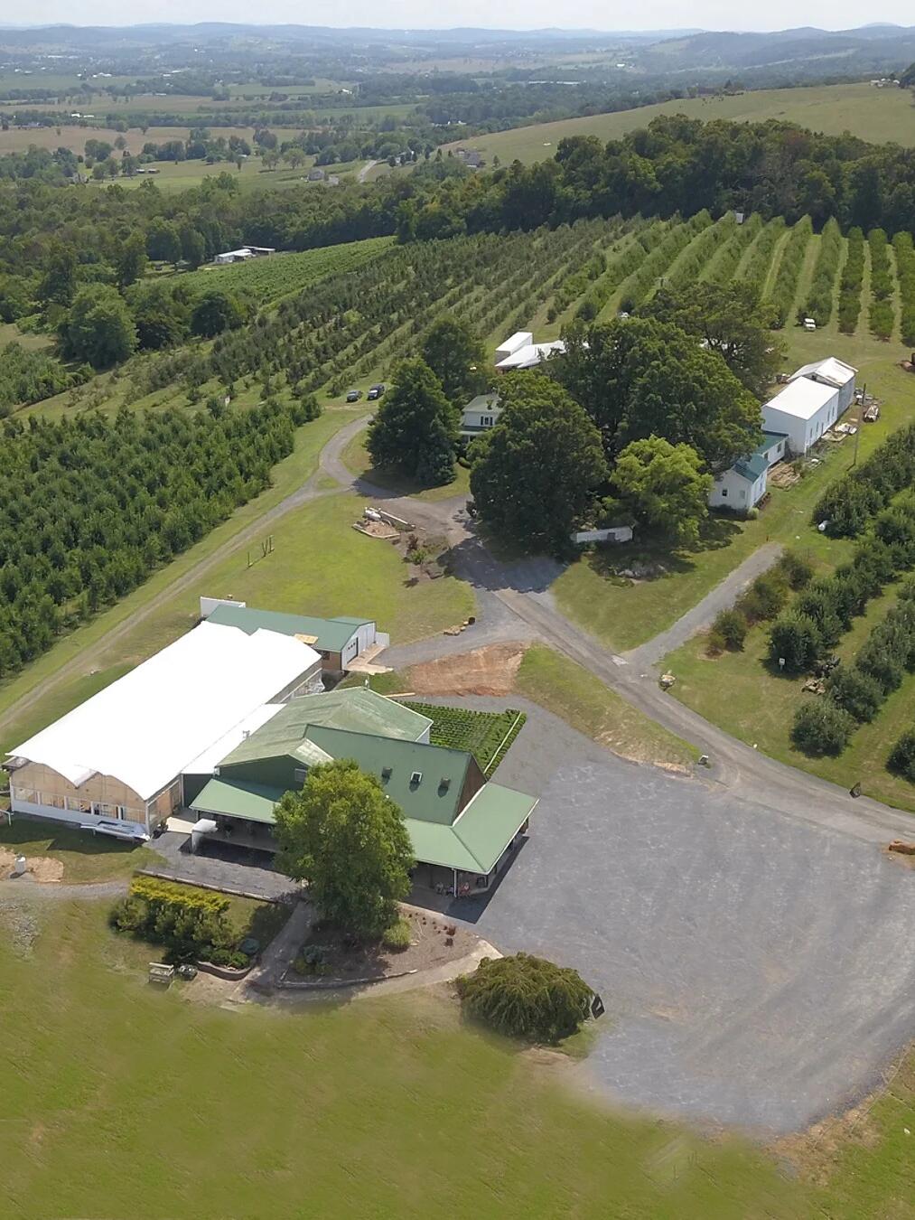 Picture of Showalter's Orchard & Greenhouse