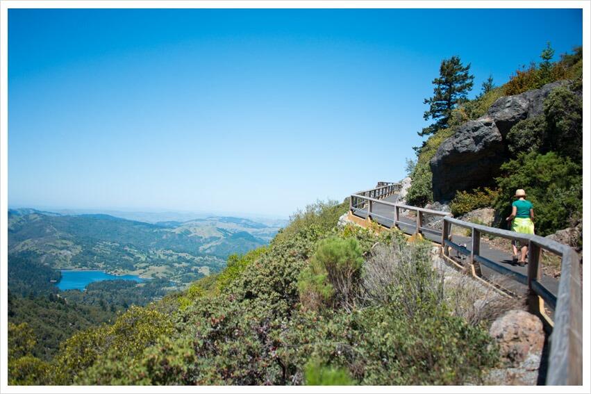 Picture of Mount Tamalpais State Park