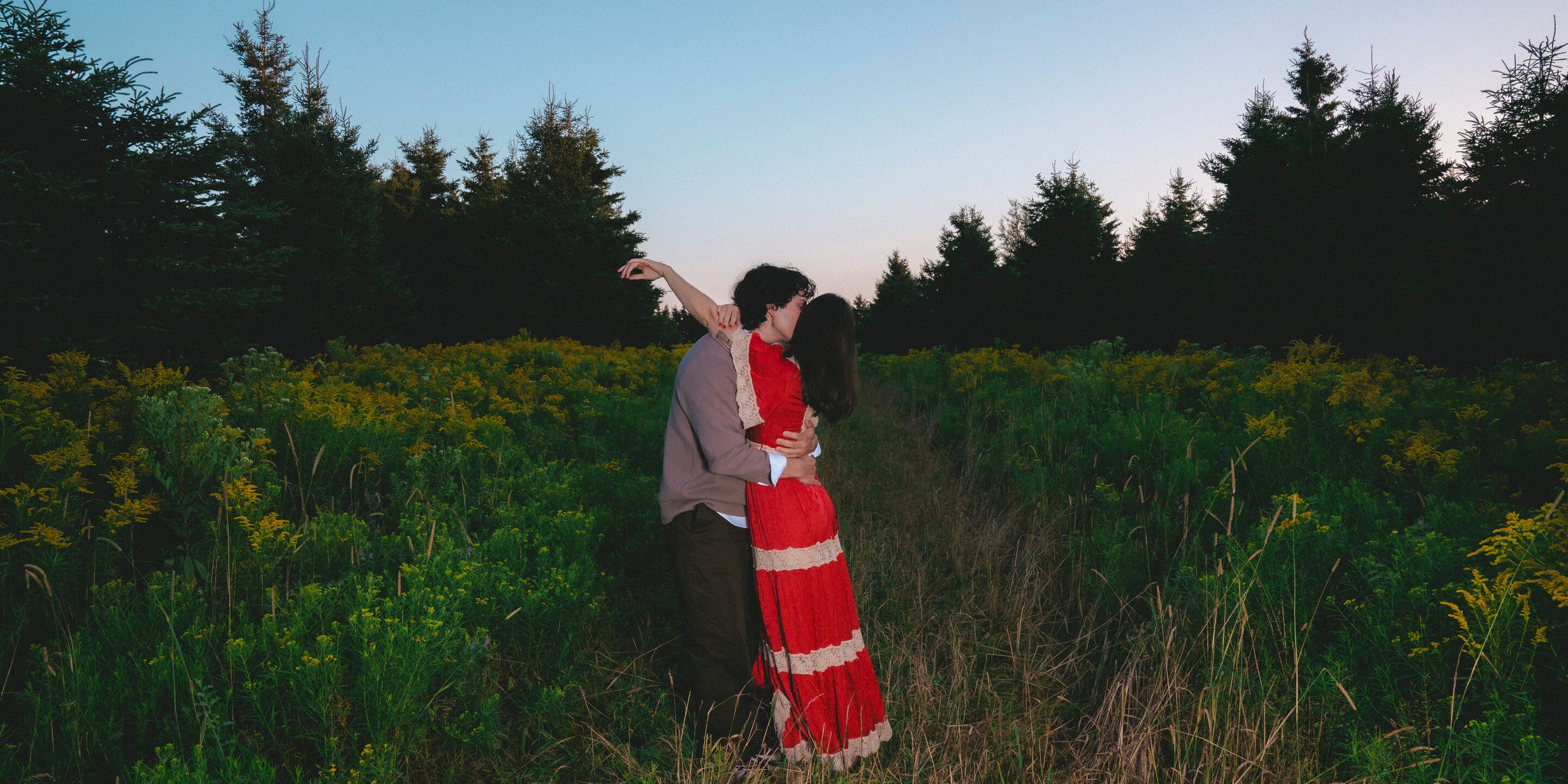Aimely & Ryder Home Page Banner
