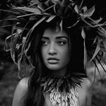Reihana Koteka-Wiki