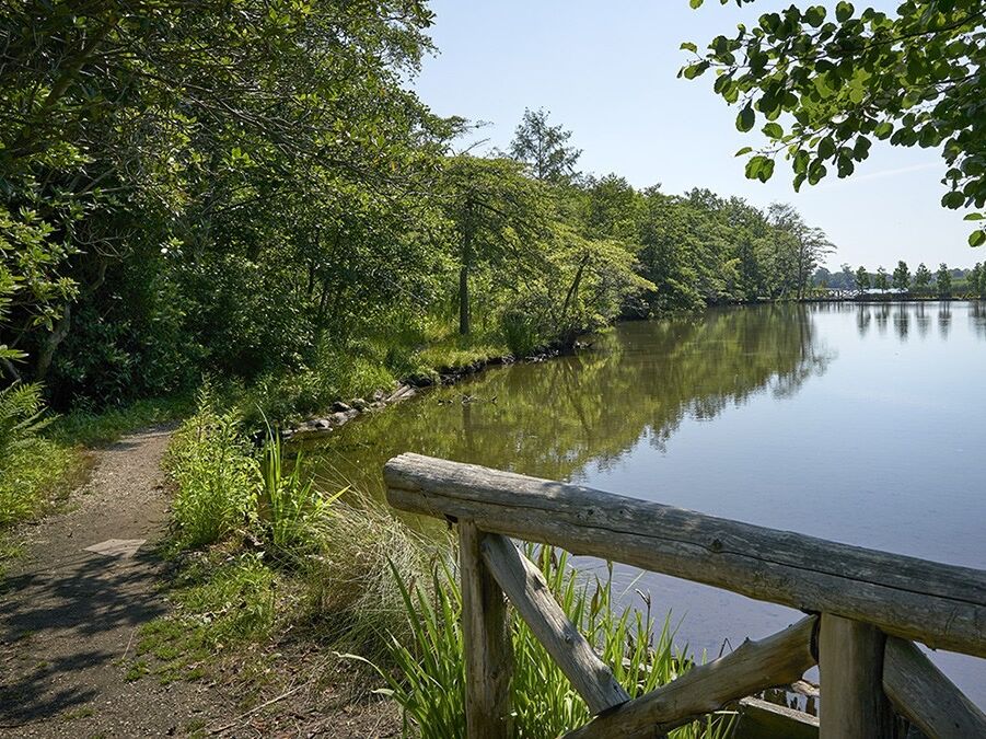 Picture of Bayard Cutting Arboretum