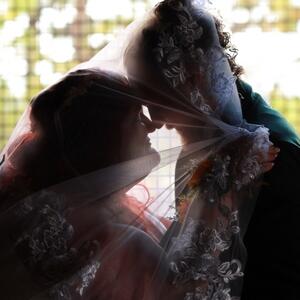 Gallery Photo 41
