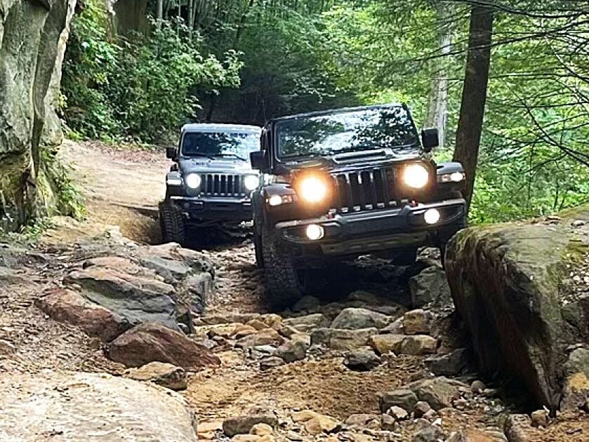 Picture of Guided Jeep Tours