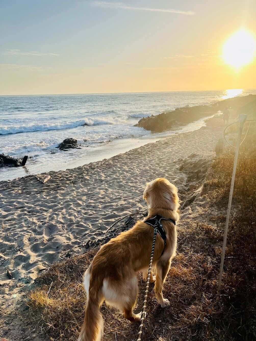 Picture of Carpinteria State Beach