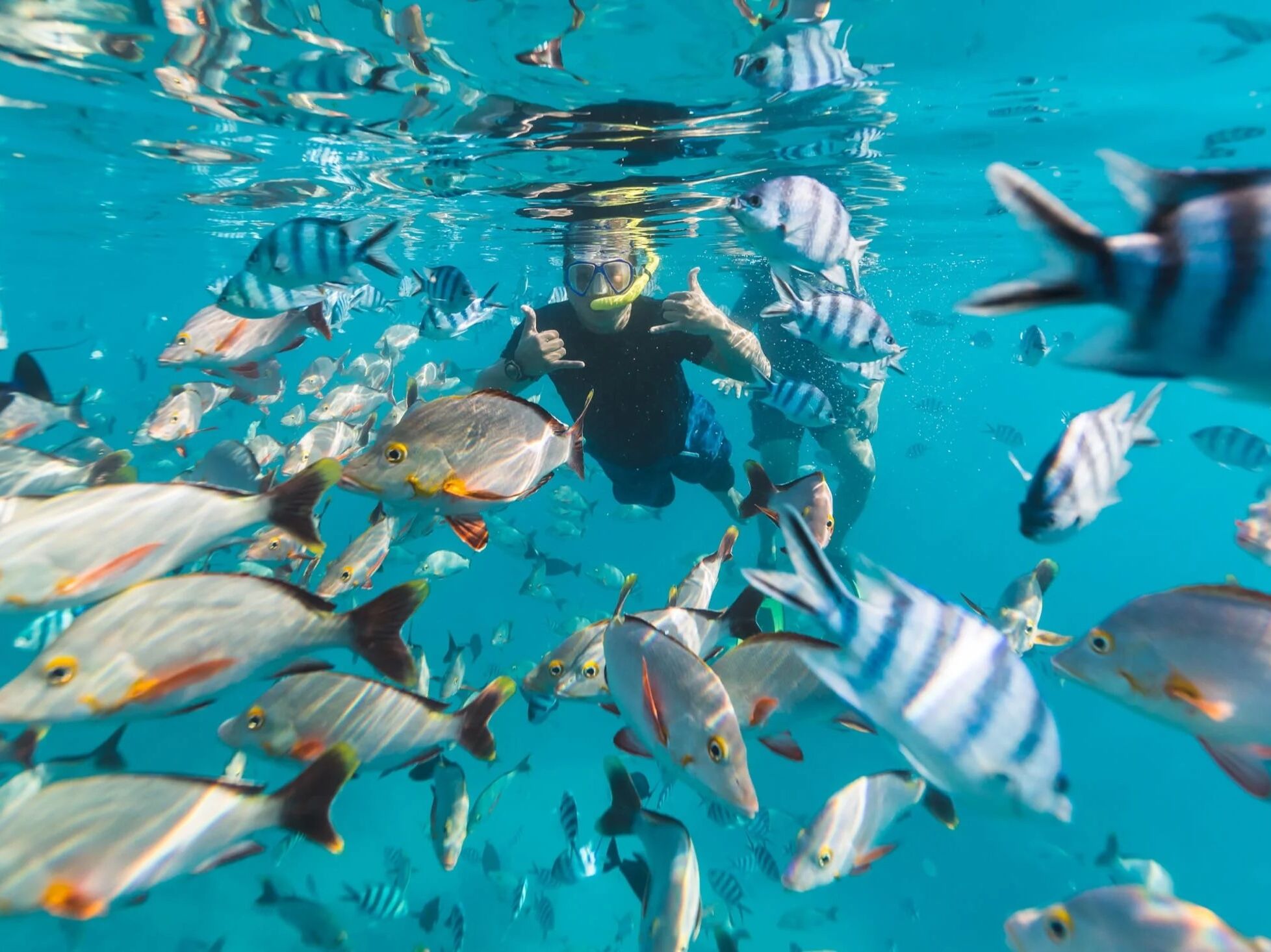 Picture of Cabo Pulmo Snorkel and Diving Expedition