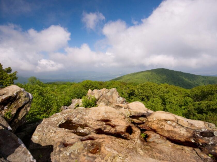 Picture of Hawksbill Loop Trailhead