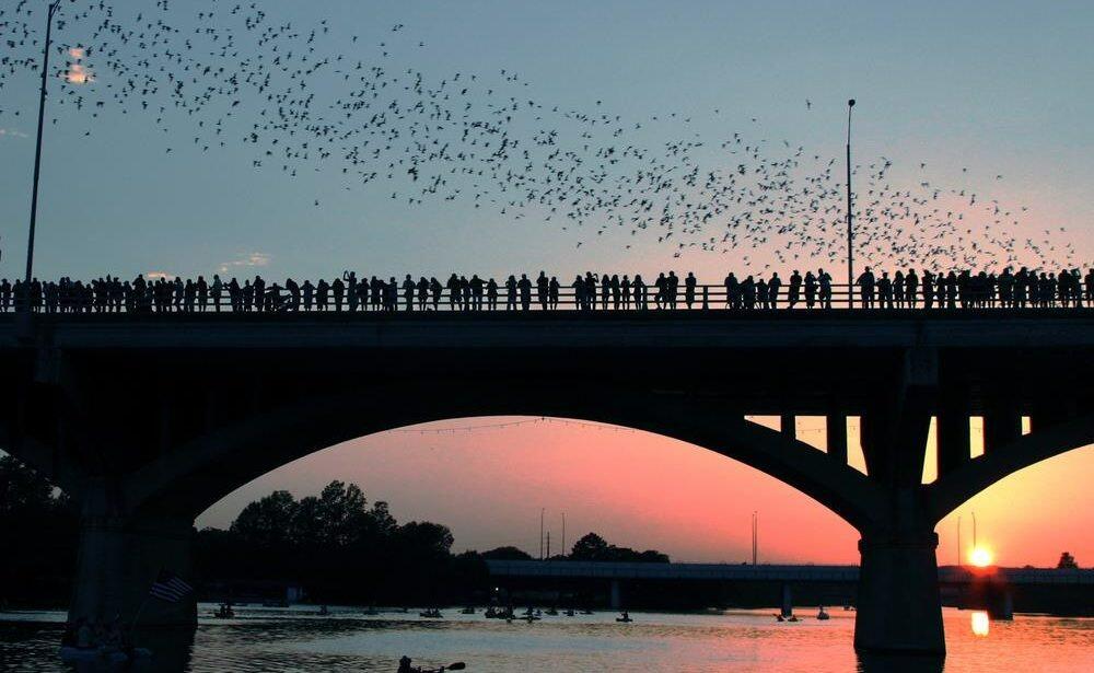 Picture of Congress Avenue Bridge - Bat Bridge