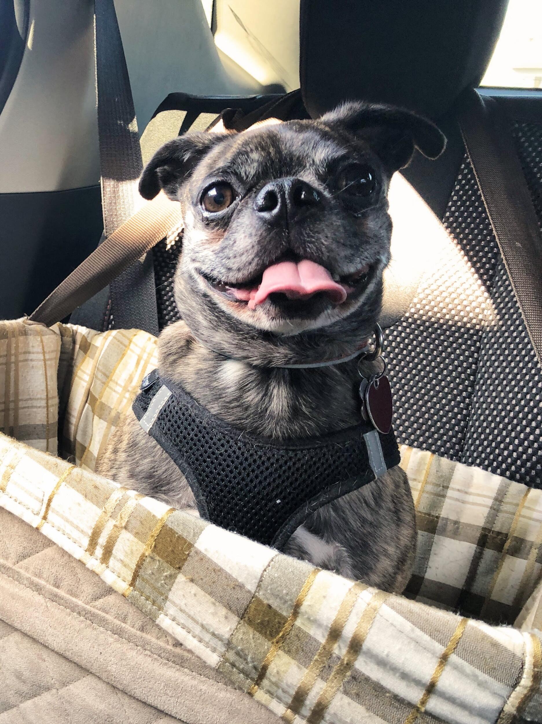 Picture of Big Eddie Energy