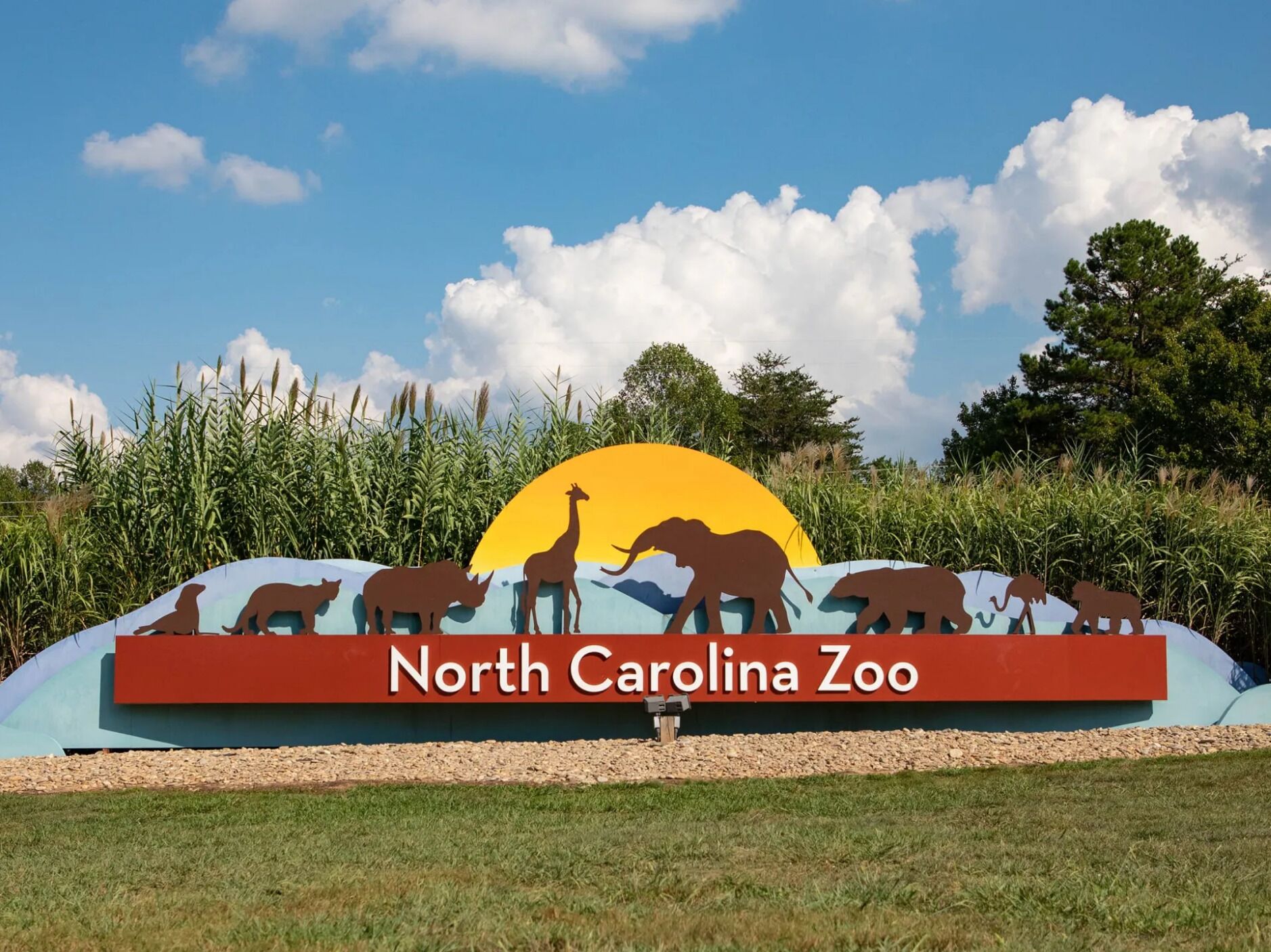 Picture of North Carolina Zoo