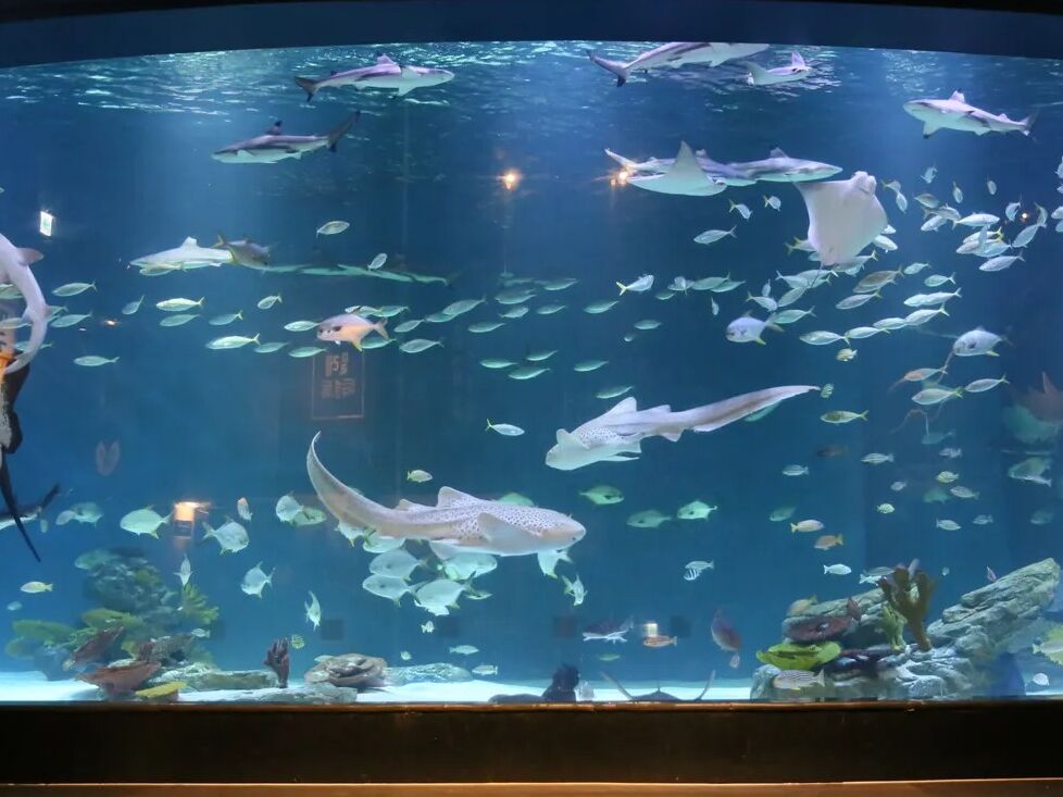 Picture of Daegu Aquarium