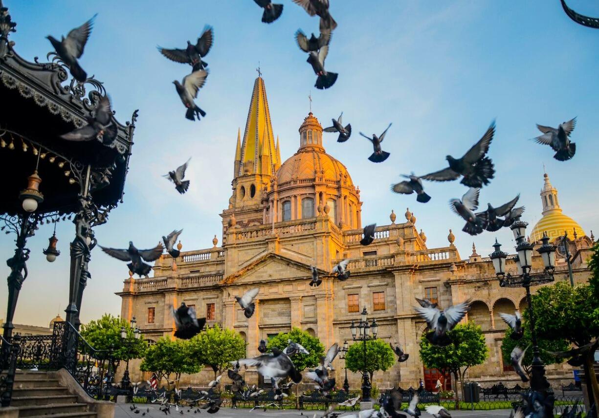 Picture of Centro Histórico de Guadalajara