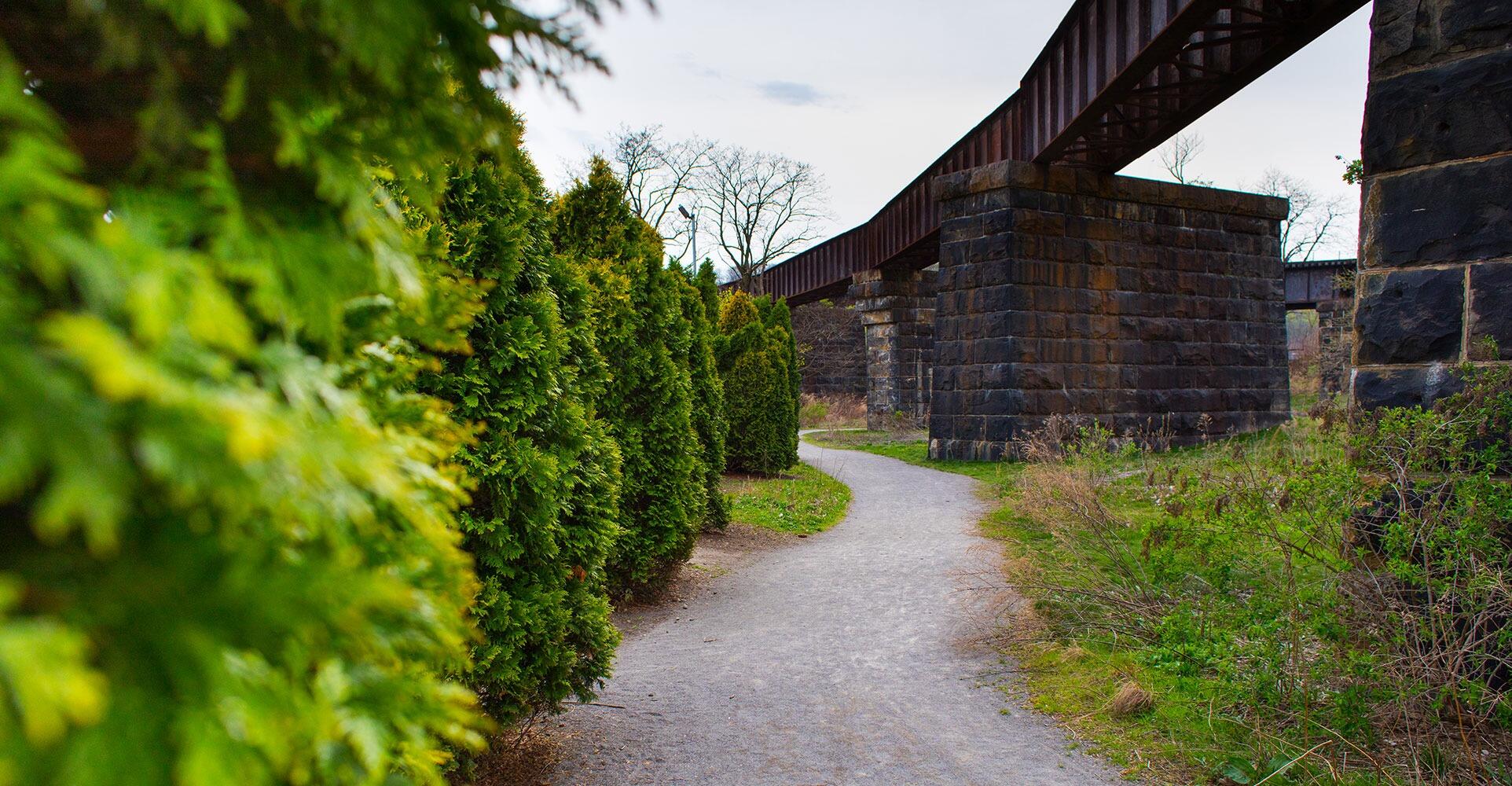 Picture of Allegheny RiverTrail Park