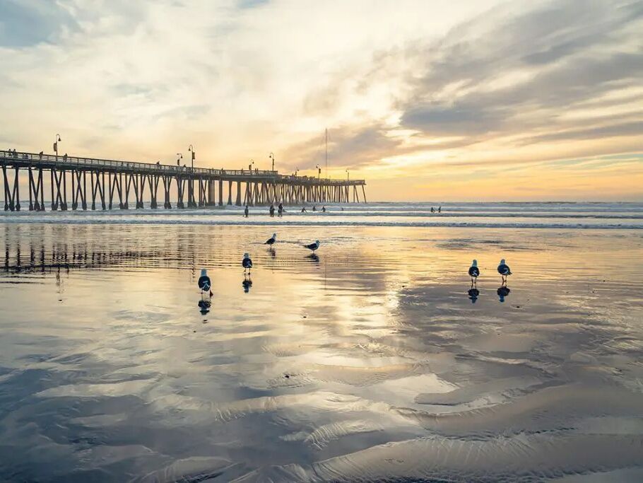 Picture of Beach Day