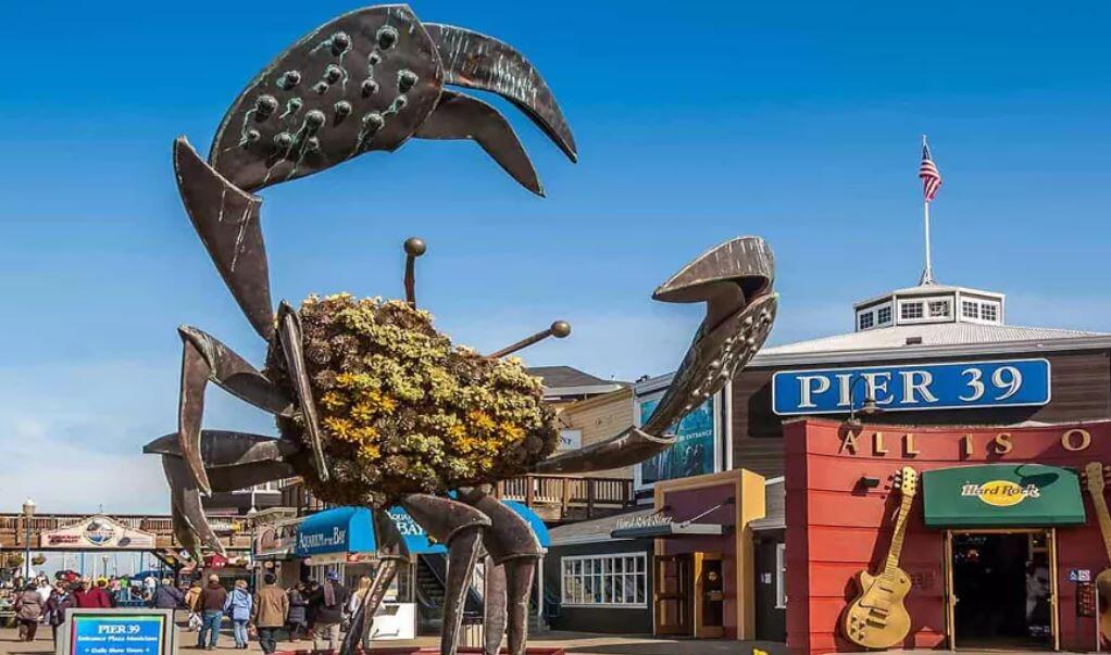 Picture of PIER 39