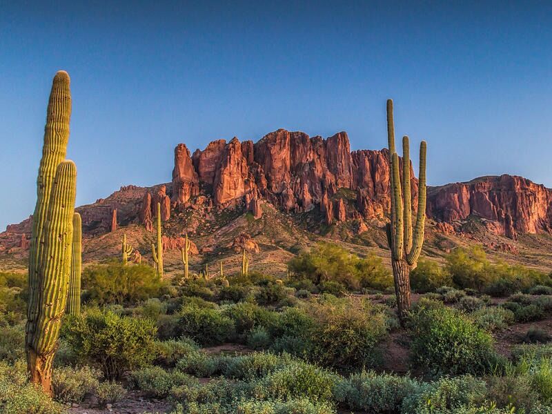 Picture of Lost Dutchman State Park