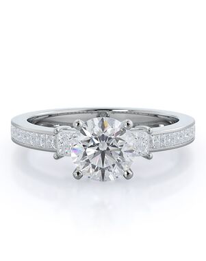 With Clarity Elegant Princess, Asscher, Cushion, Emerald, Radiant, Round, Oval Cut Engagement Ring