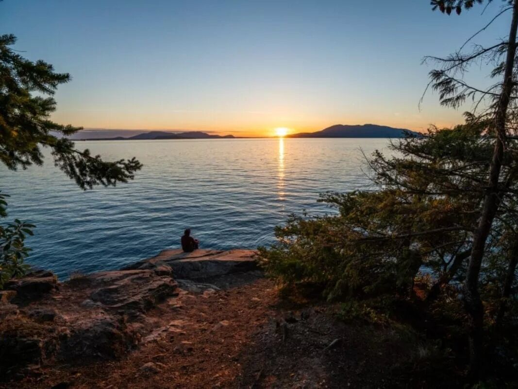 Picture of Chuckanut Drive