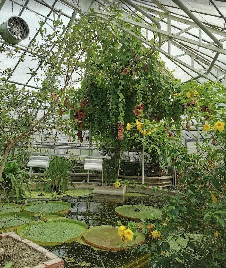 Picture of Heidelberg Botanical Garden