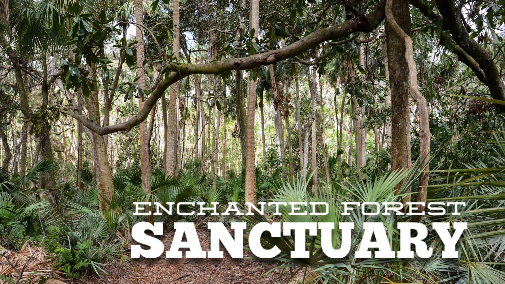 Picture of Brevard County Enchanted Forest Sanctuary