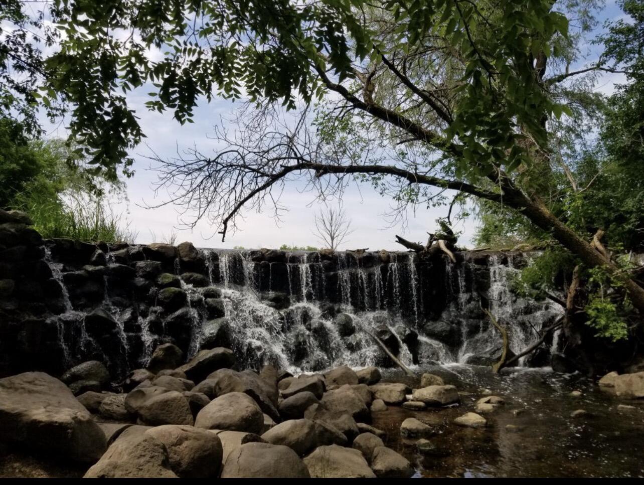 Picture of Whitnall Park