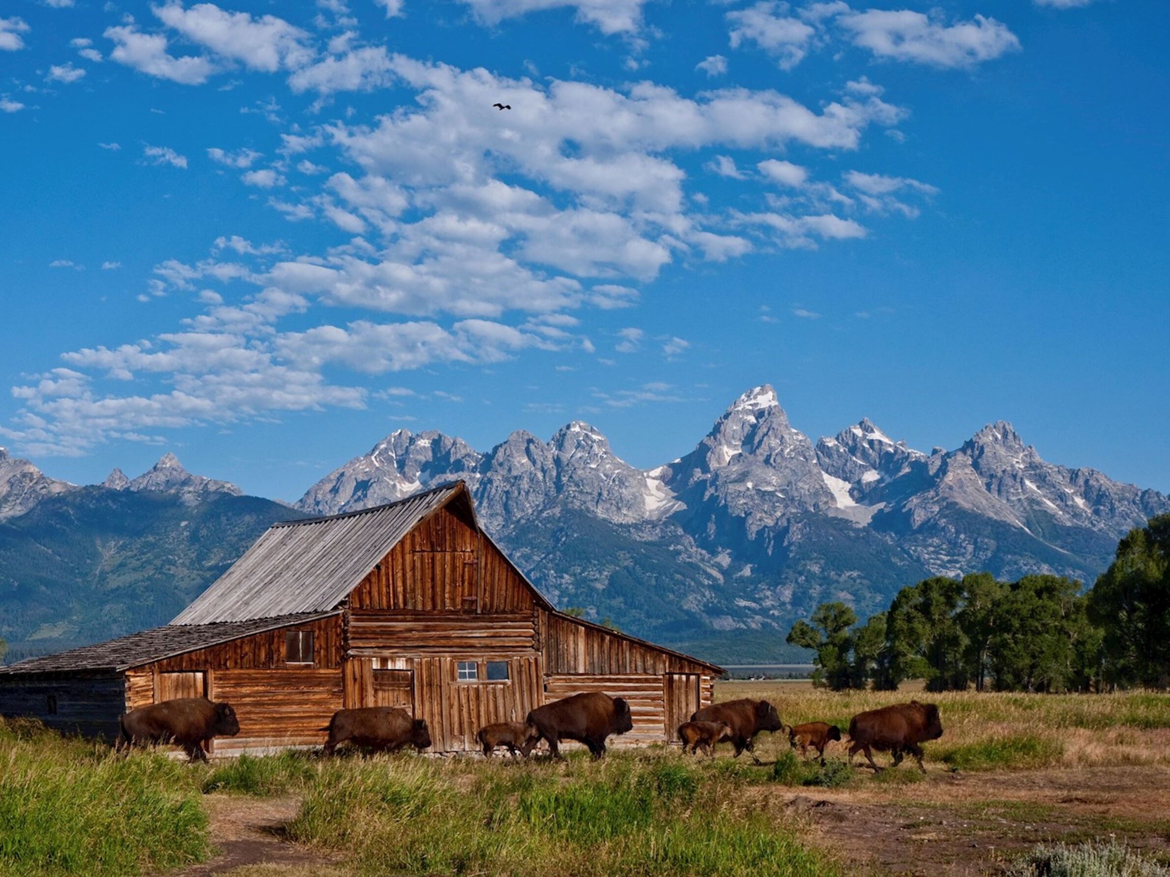 Picture of Grand Teton National Park