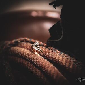 Gallery Photo 13