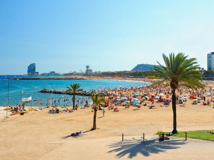 Picture of Barceloneta Beach