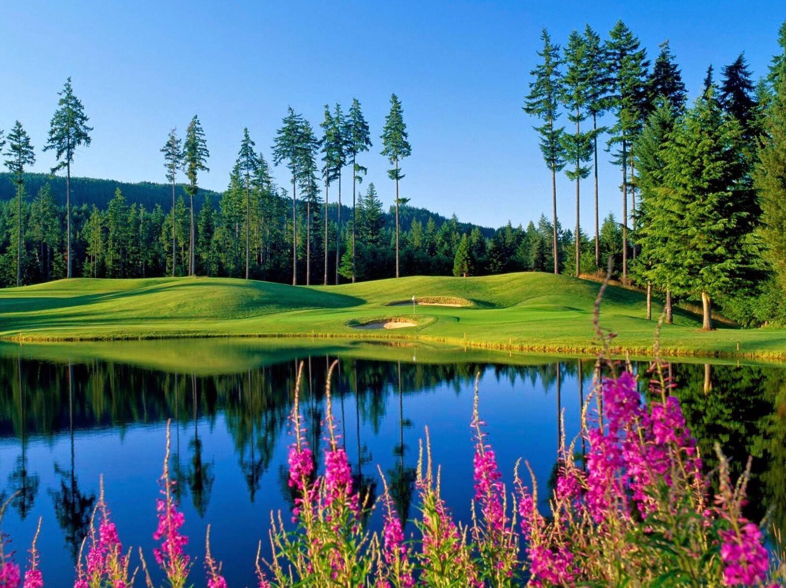 Picture of Gold Mountain Golf Club