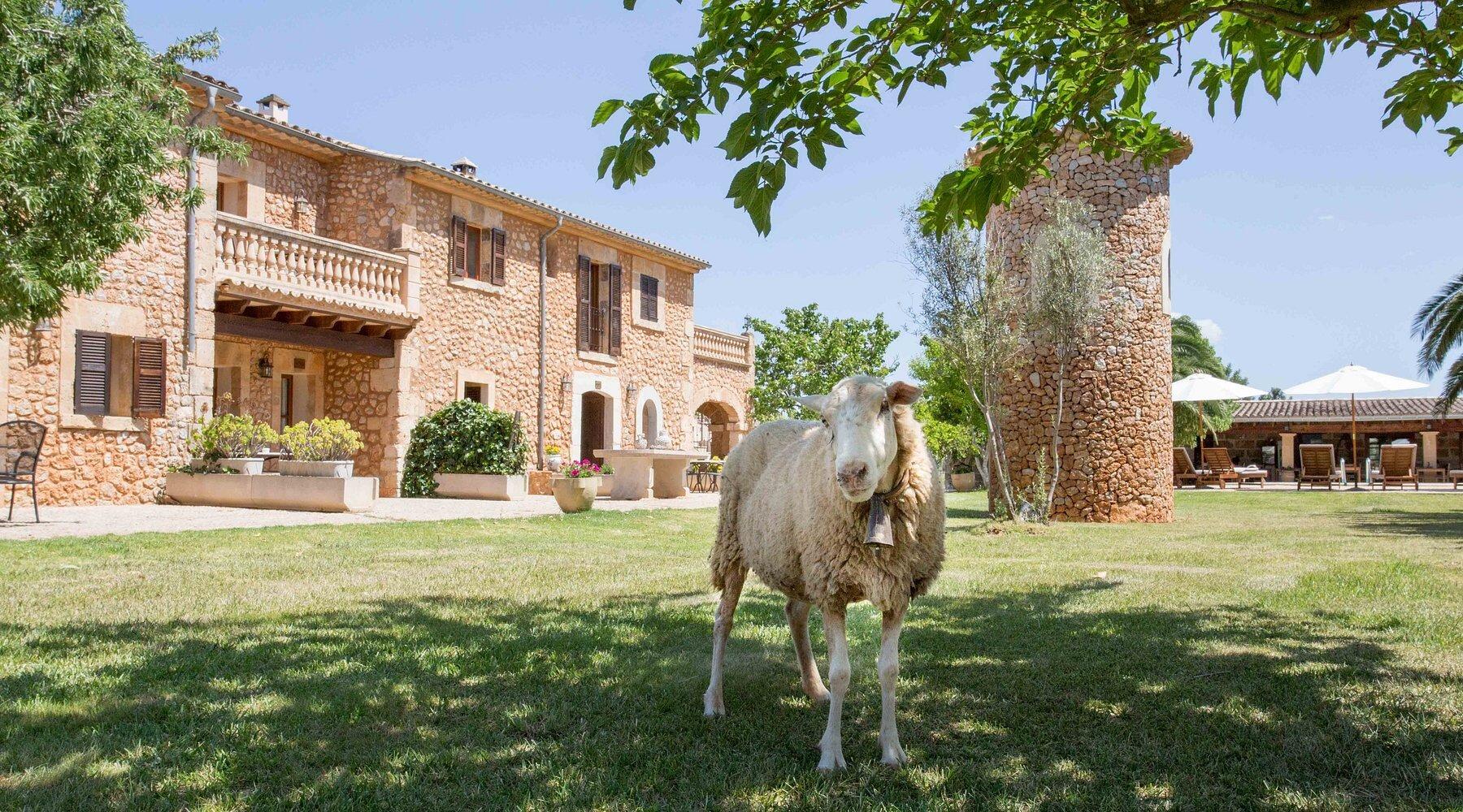 Picture of Agroturismo Es Quatre Cantons