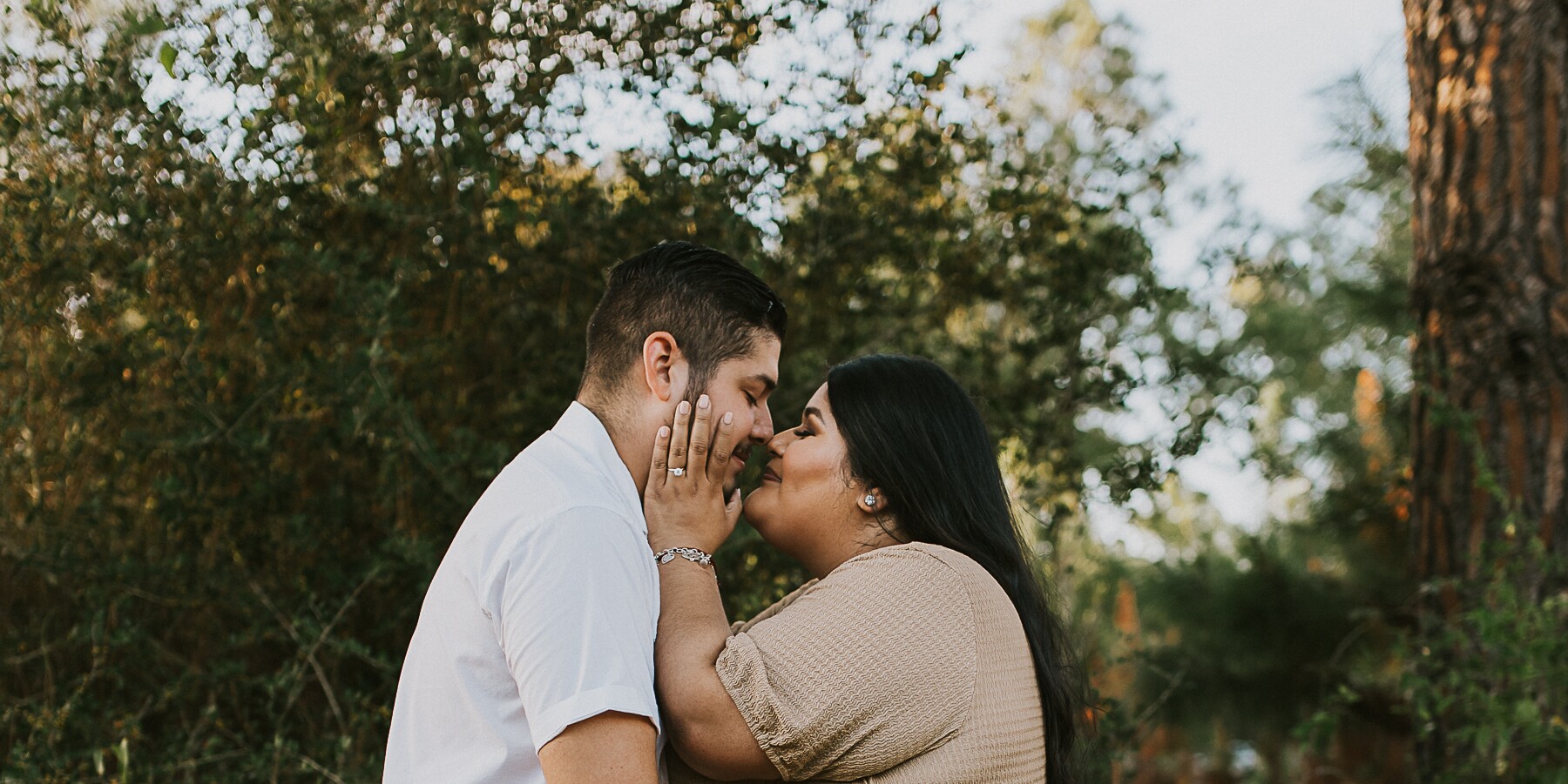 Diana & Francisco Home Page Banner