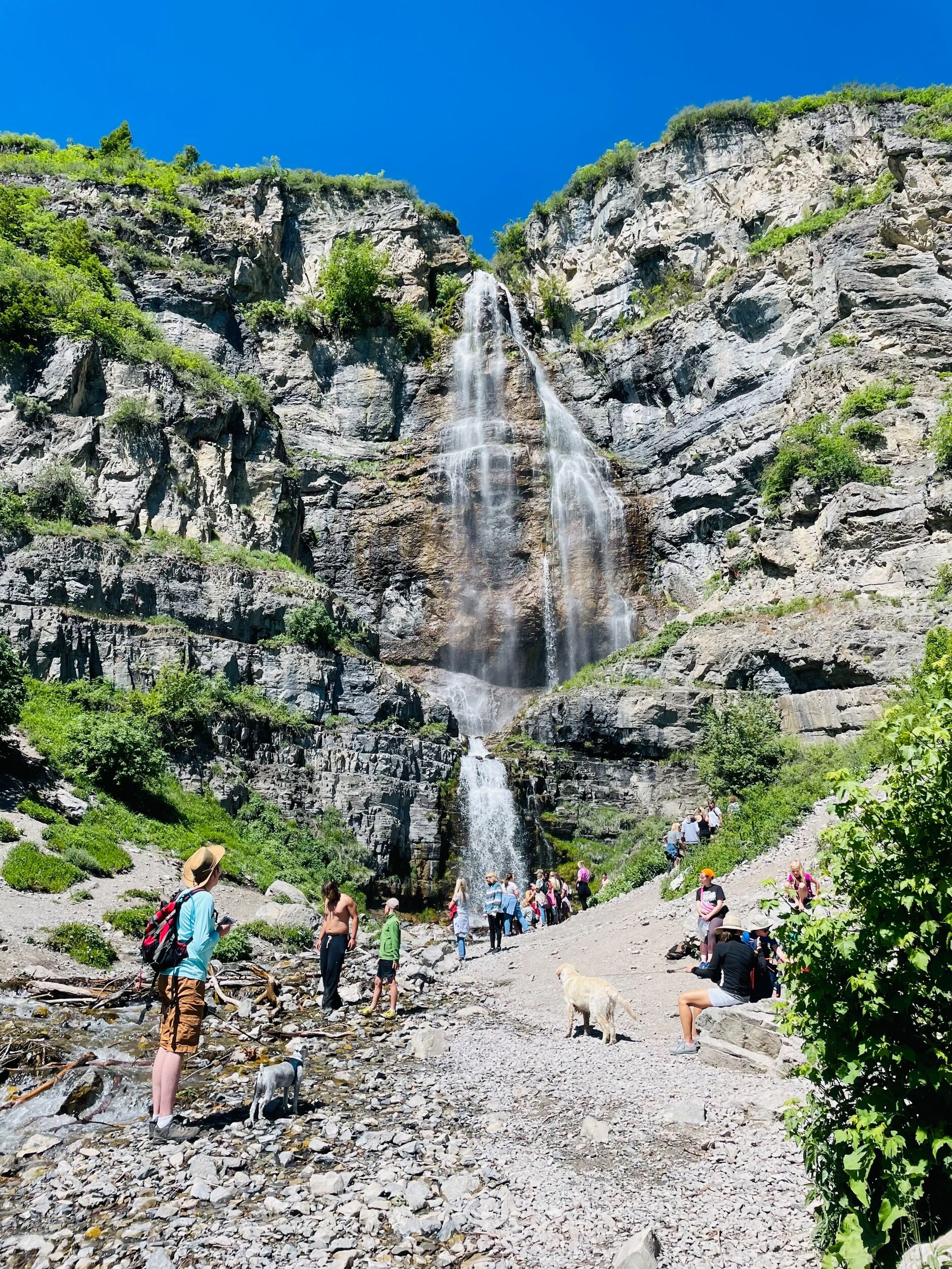 Picture of Hike to Stewart Falls 