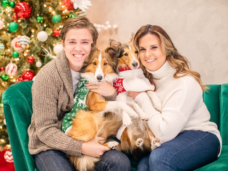 To-be-weds holding their dogs wearing Christmas sweaters.