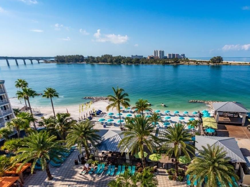 Picture of Clearwater beach
